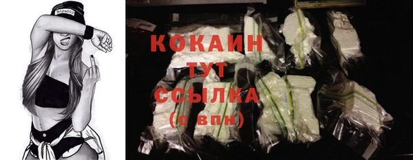 прущие грибы Вязники