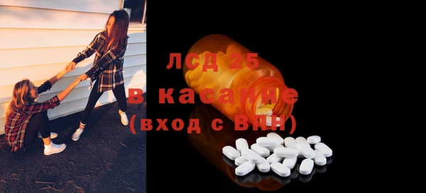 прущие грибы Вязники