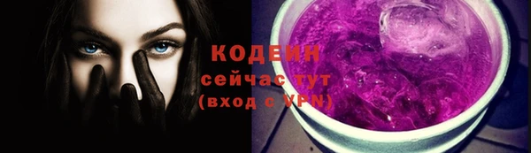 ешки Вяземский