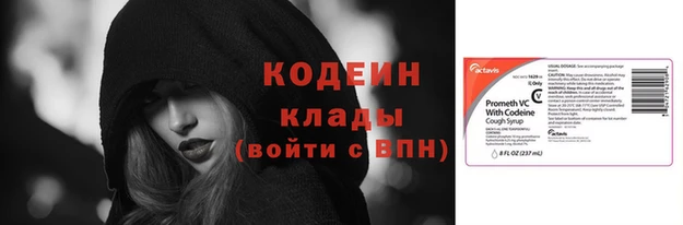прущие грибы Вязники