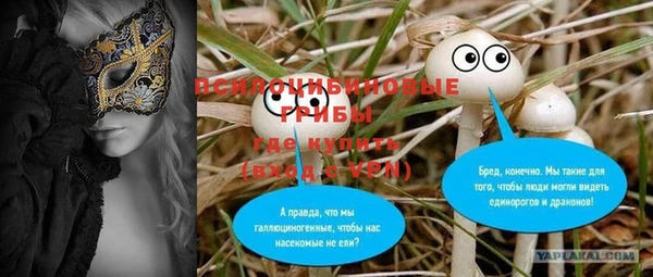 ешки Вяземский