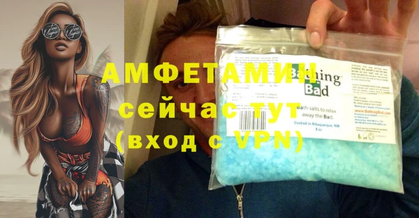 ешки Вяземский