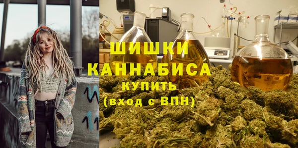 прущие грибы Вязники
