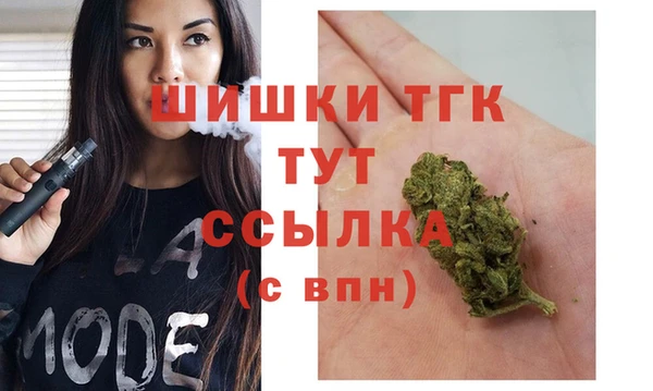 прущие грибы Вязники